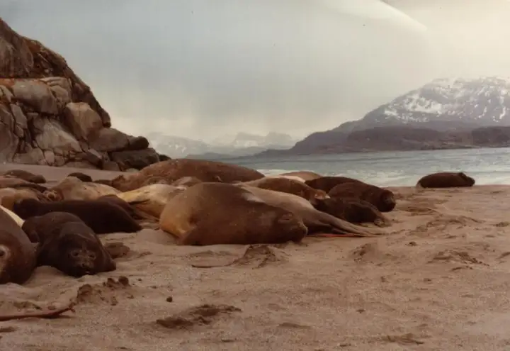 Îles Kerguelen - week-end romantique