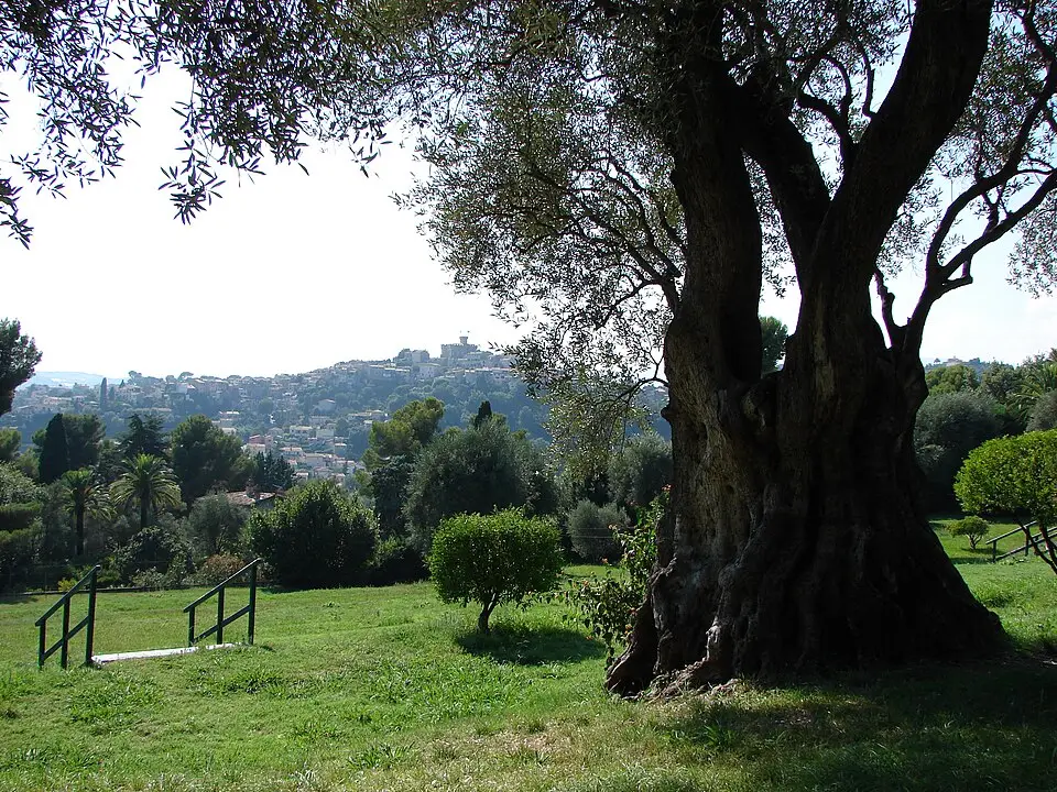 Cagnes-sur-Mer - week-end bien-être