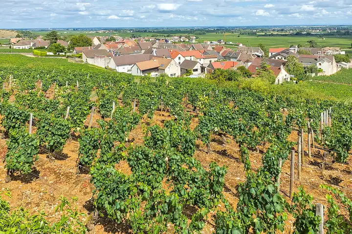 Chassagne-Montrachet - week-end romantique