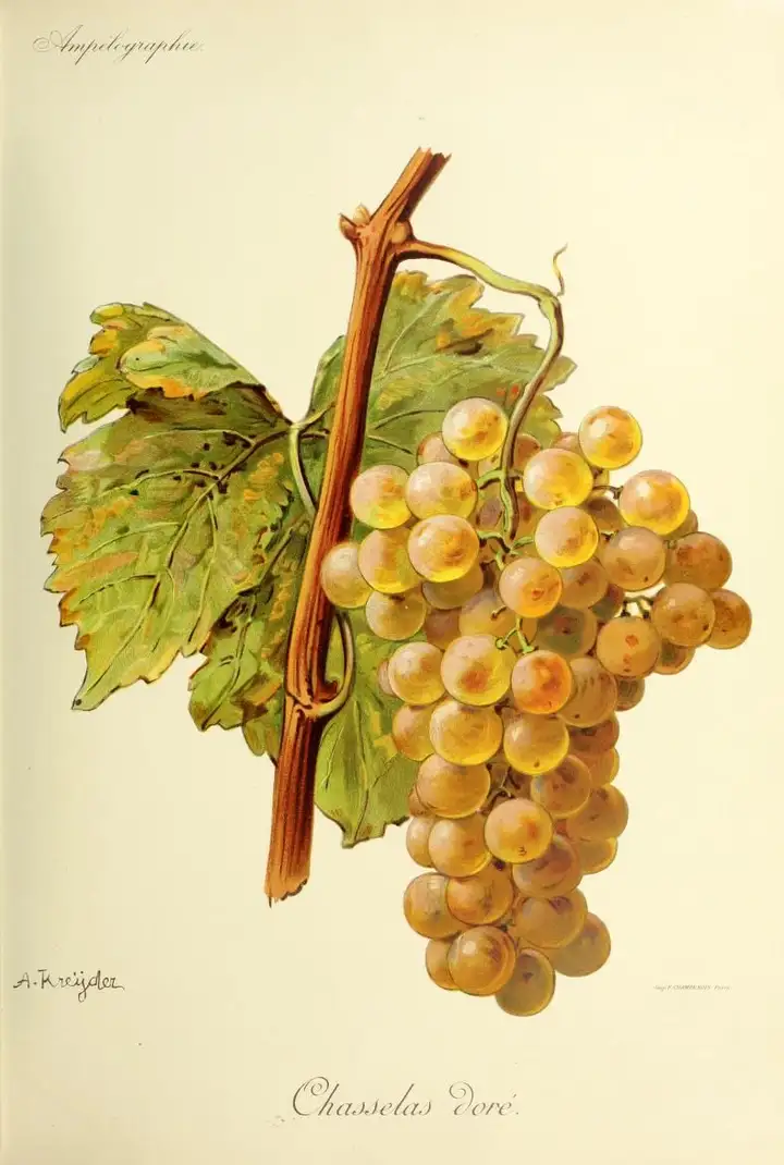Chasselas - week-end romantique