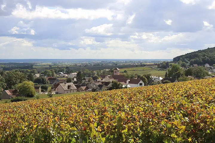 Gevrey-Chambertin - week-end romantique