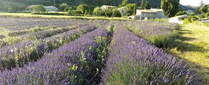 La Rochegiron - week-end romantique