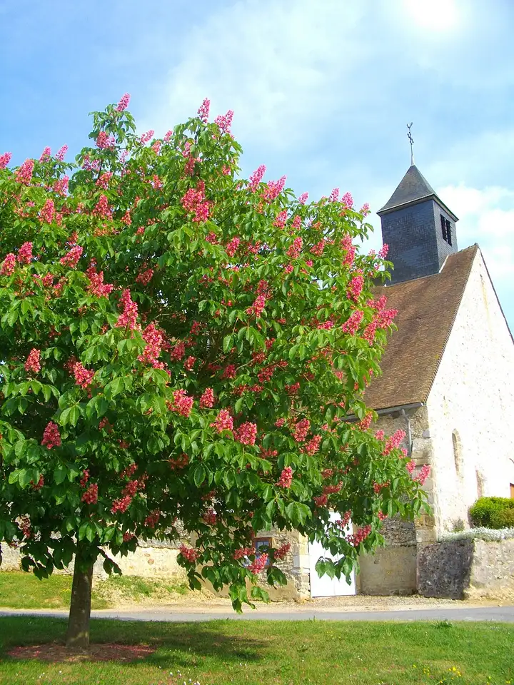 Les Essarts-le-Vicomte - week-end romantique