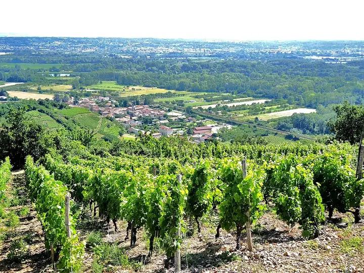 Limony - week-end romantique