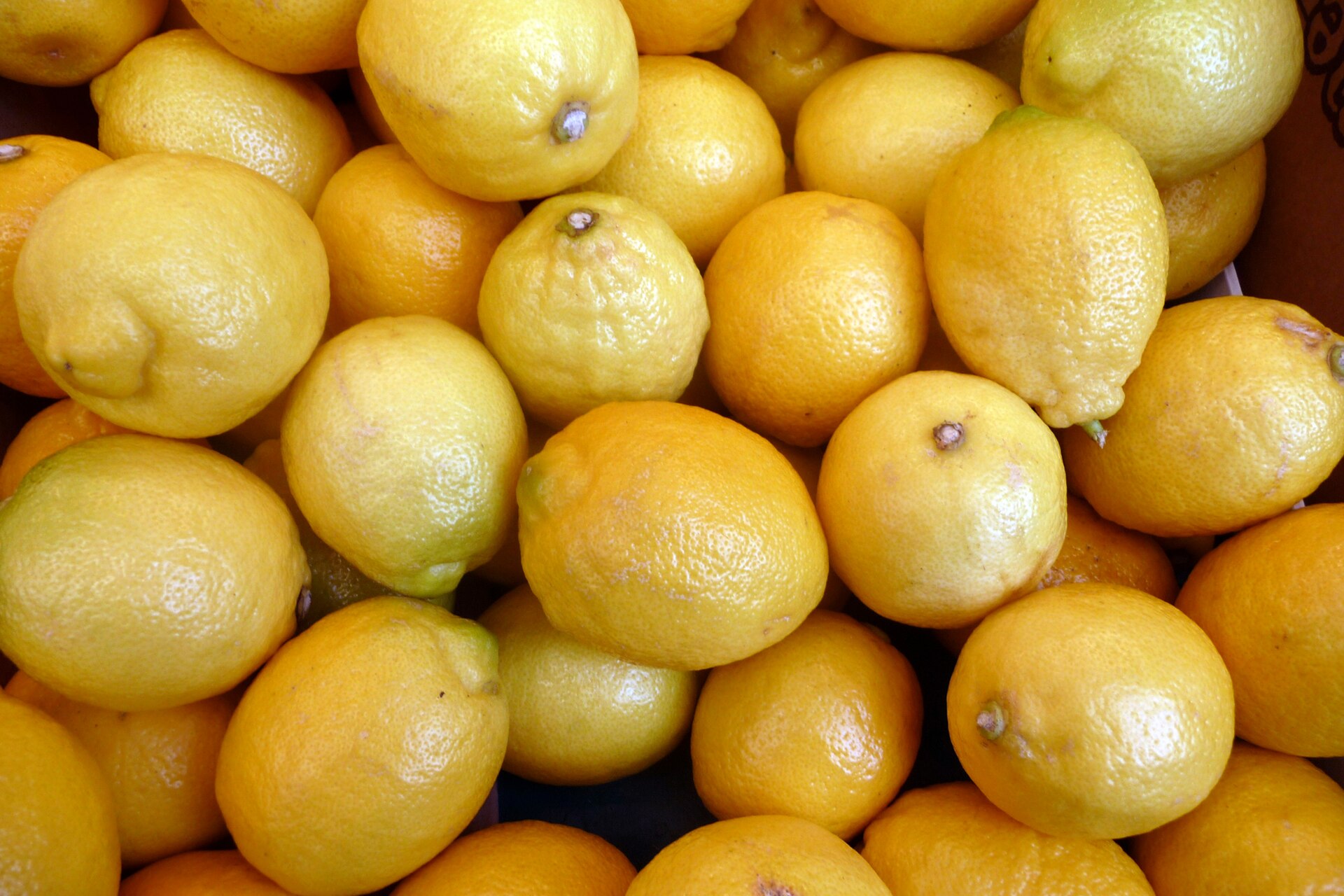 Citron de Menton - week-end gastronomique