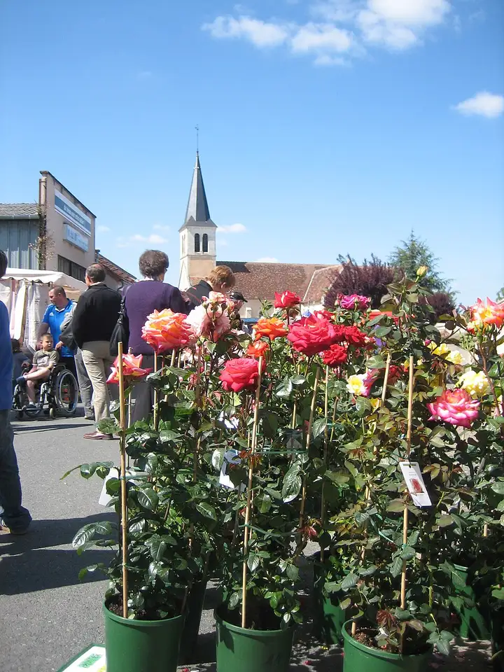 Mers-sur-Indre - week-end romantique