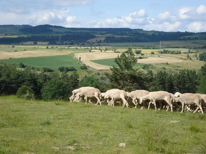 Naussac-Fontanes - week-end romantique