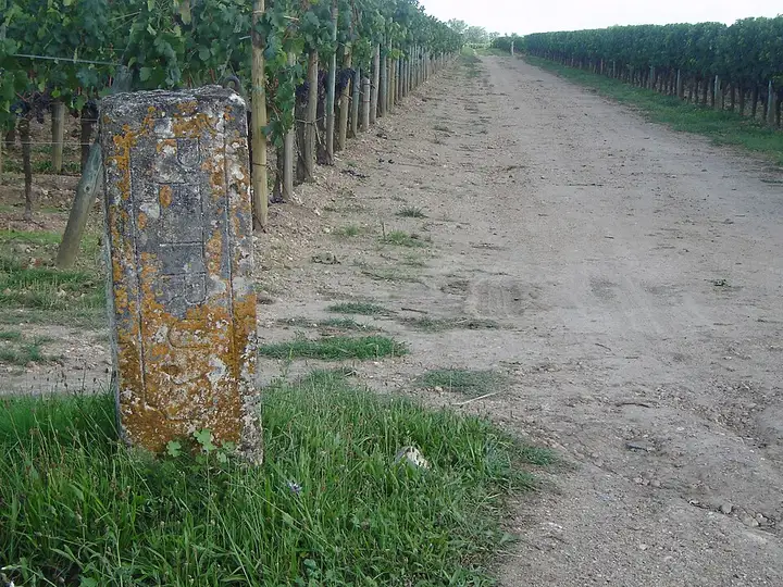 Pomerol - week-end romantique