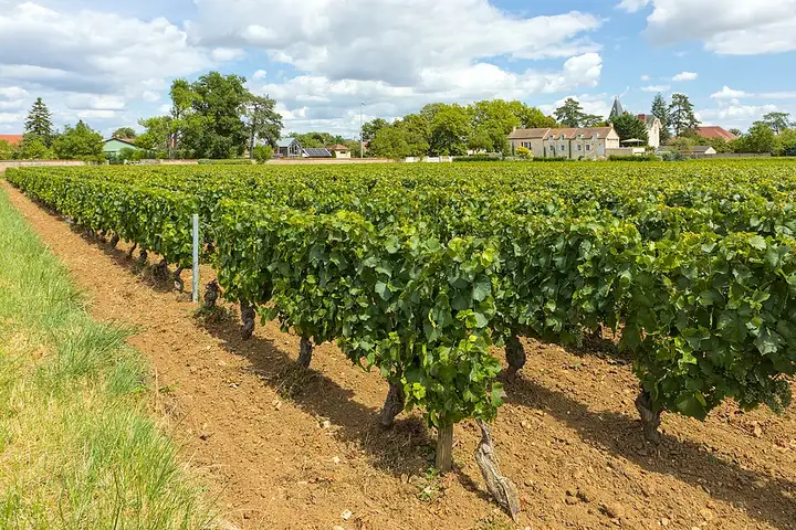 Puligny-Montrachet - week-end romantique