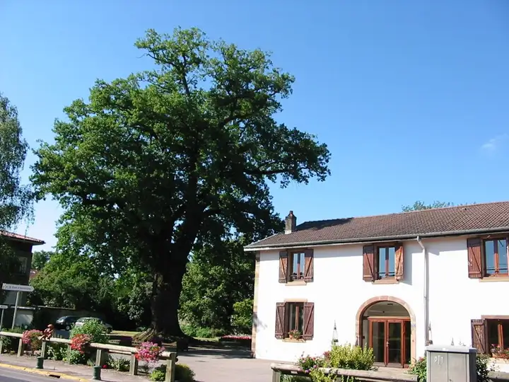 Roville-aux-Chênes - week-end romantique