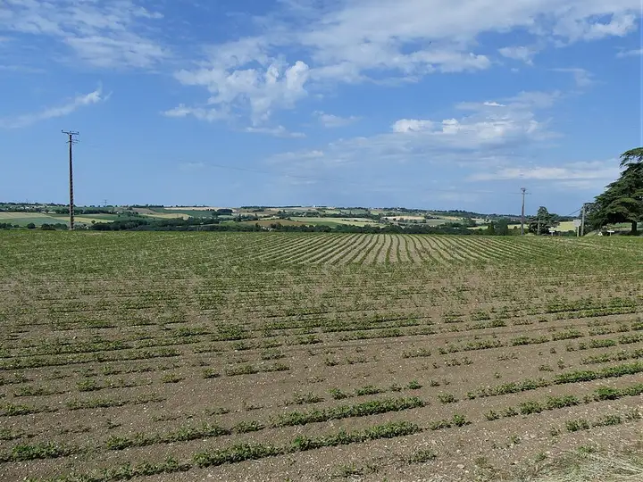 Saumont - week-end romantique
