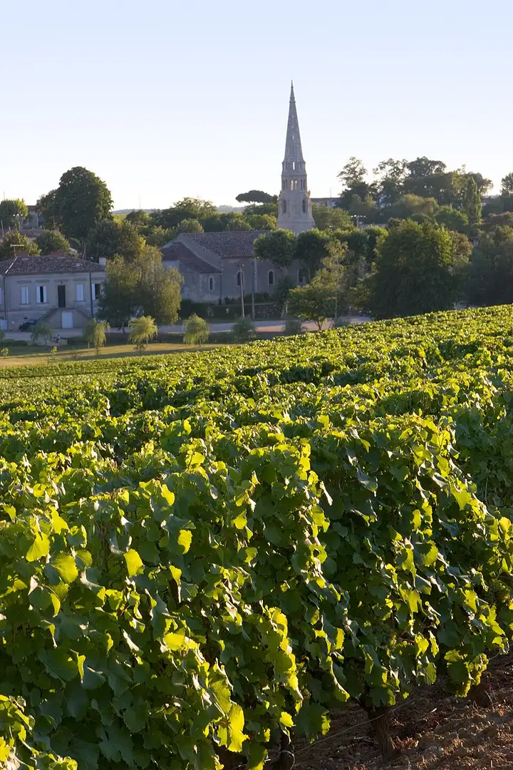 Sauternes - week-end romantique