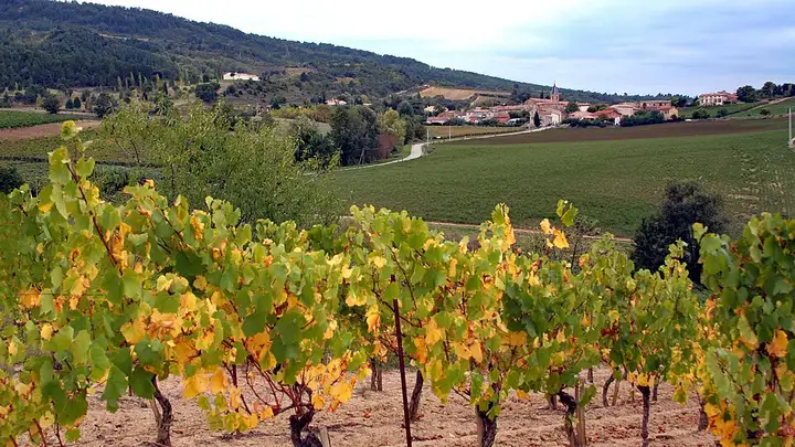 Tourreilles - week-end romantique