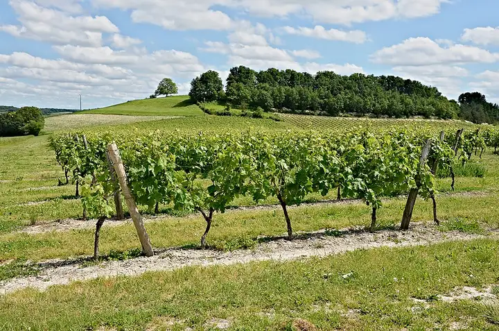 Val des Vignes - week-end romantique