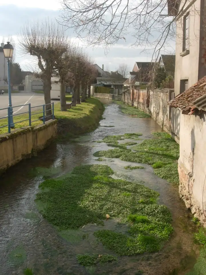 Vendeuvre-sur-Barse - week-end romantique