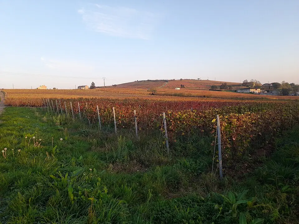 Villié-Morgon - week-end romantique