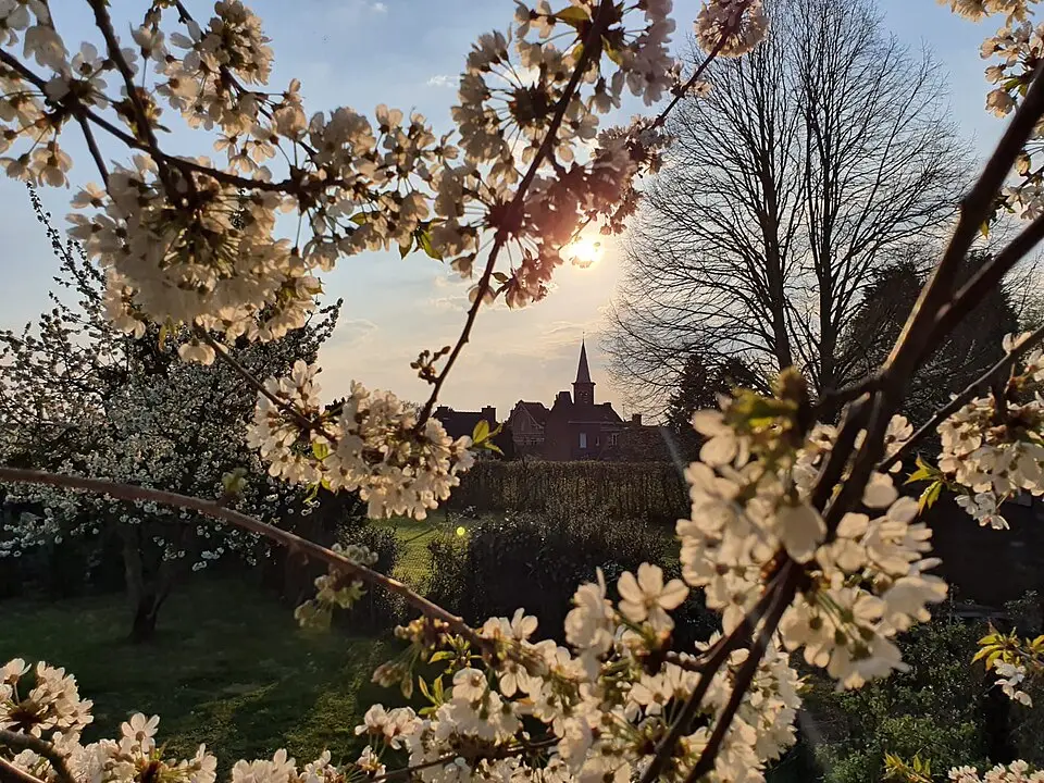 Wahagnies - week-end romantique