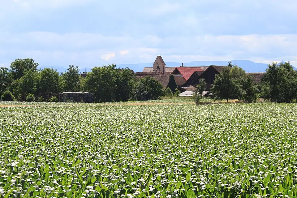 Wittisheim - week-end romantique